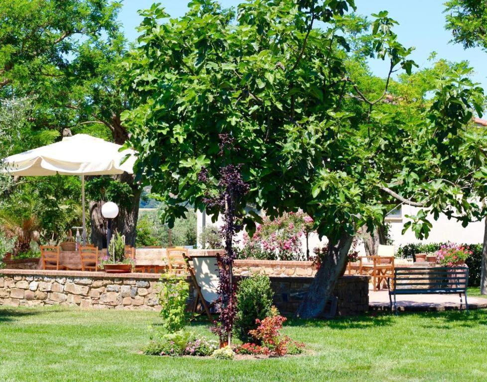 Agriturismo Vecchio Imposto Massa Marittima Exterior foto